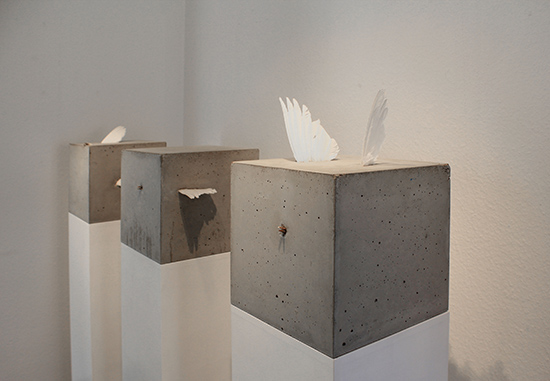 link button to the objects: dove pieces