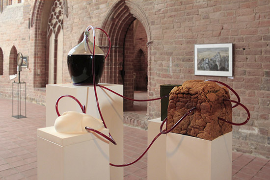 link button to the installation: nose bladder wallet watch