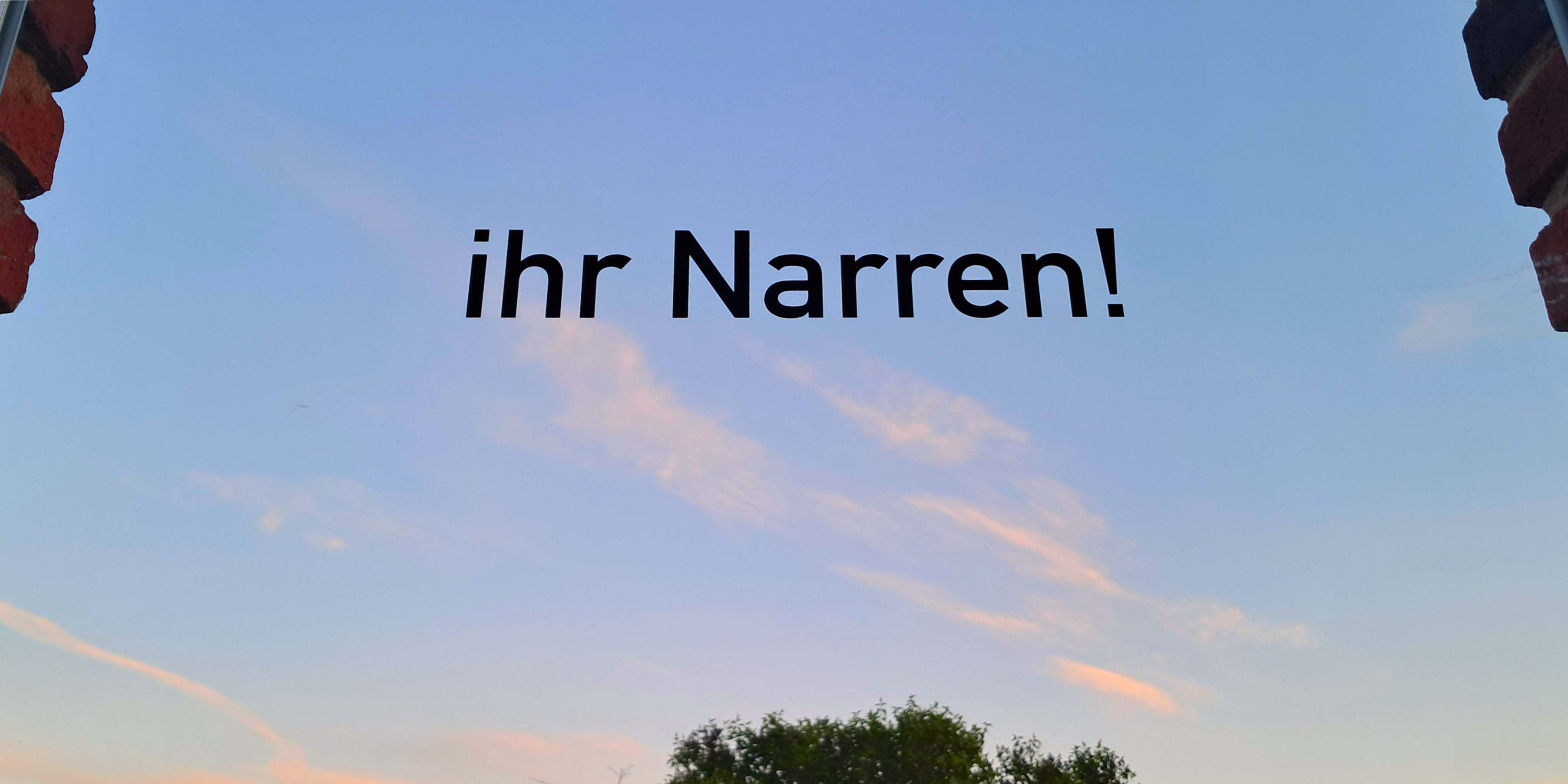 work on the object: ihr Narren