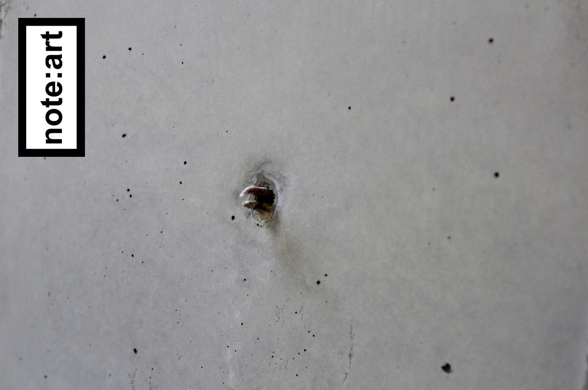 object: dove pieces